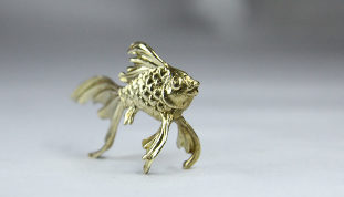 pesce d'oro