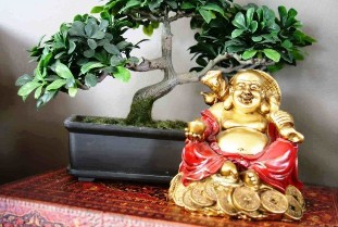 La felicità e il benessere in casa secondo il feng shui