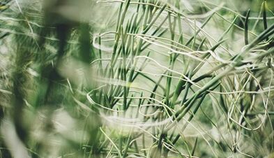 Come realizzare un amuleto portafortuna con le tue mani