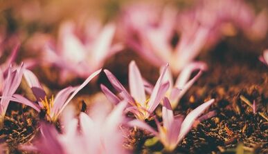 come realizzare un amuleto portafortuna con le tue mani